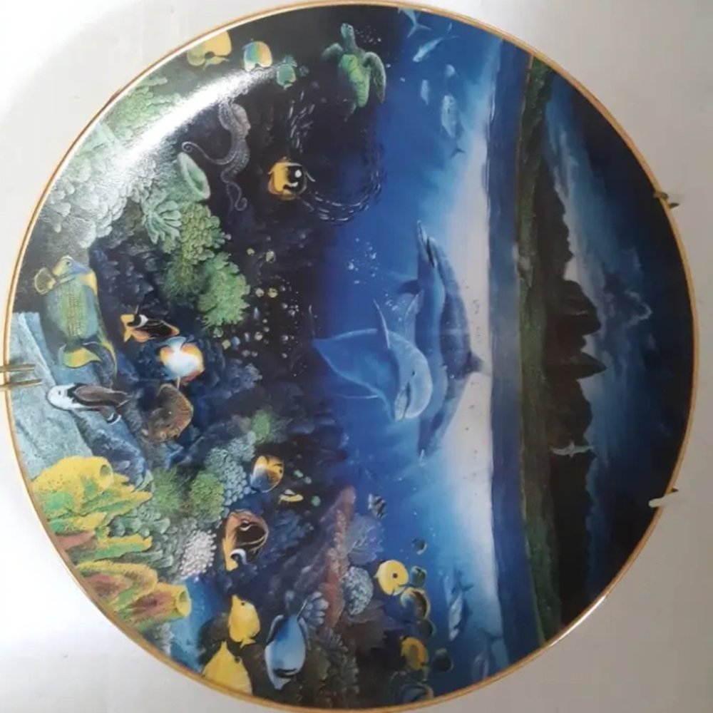 Dolphin sea collectible plate